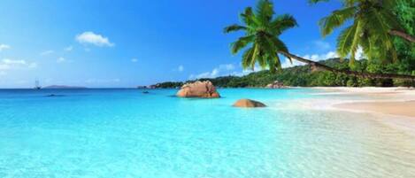 Playa