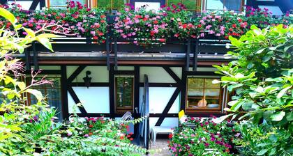 Apartment 'Nachtigall' with Mountain View, Shared Terrace and Wi-Fi