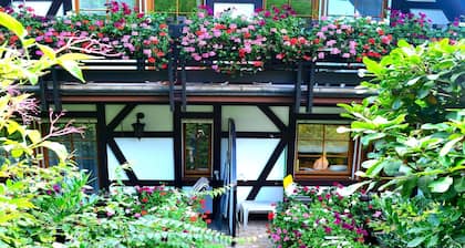 Apartment 'Rotkehlchen' with Mountain View, Shared Terrace and Wi-Fi