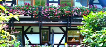 Apartment 'Rotkehlchen' with Mountain View, Shared Terrace and Wi-Fi
