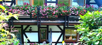 Apartment 'Schwalbennest' with Mountain View, Private Balcony and Wi-Fi