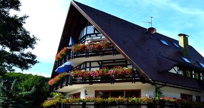 Apartment 'Schwalbennest' with Mountain View, Private Balcony and Wi-Fi