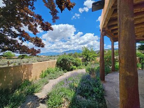 Property grounds - Upscale Serenity with 360 Views- Mini Split AC great indoor/outdoor space (Taos)