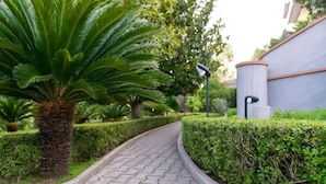 A paved pathway flanked by neatly trimmed hedges and a palm tree. - Villa Monaco: Double Room in Villa with Pool, Hot Tub (Mosciano Sant'Angelo)