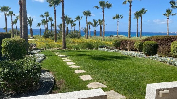 Property grounds - Yulya Villa A Luxurious Escape: Beach Front 2 Bedroom, with All Amenities! (Chlorakas)