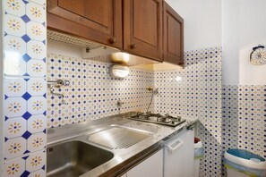 Fridge, stovetop, cookware/dishes/utensils, spices