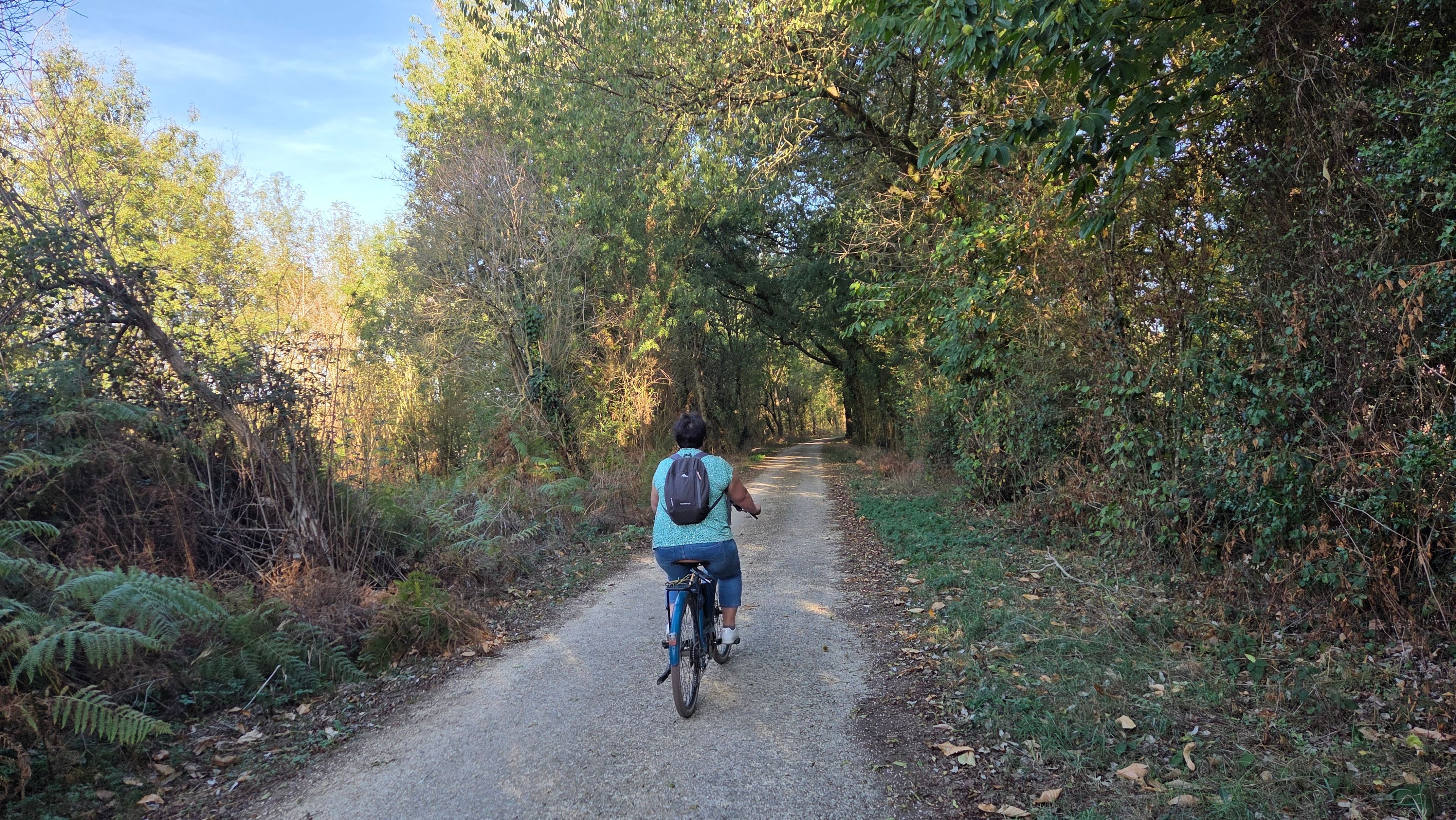 Een fietser op een grindpad, omringd door weelderige begroeiing.