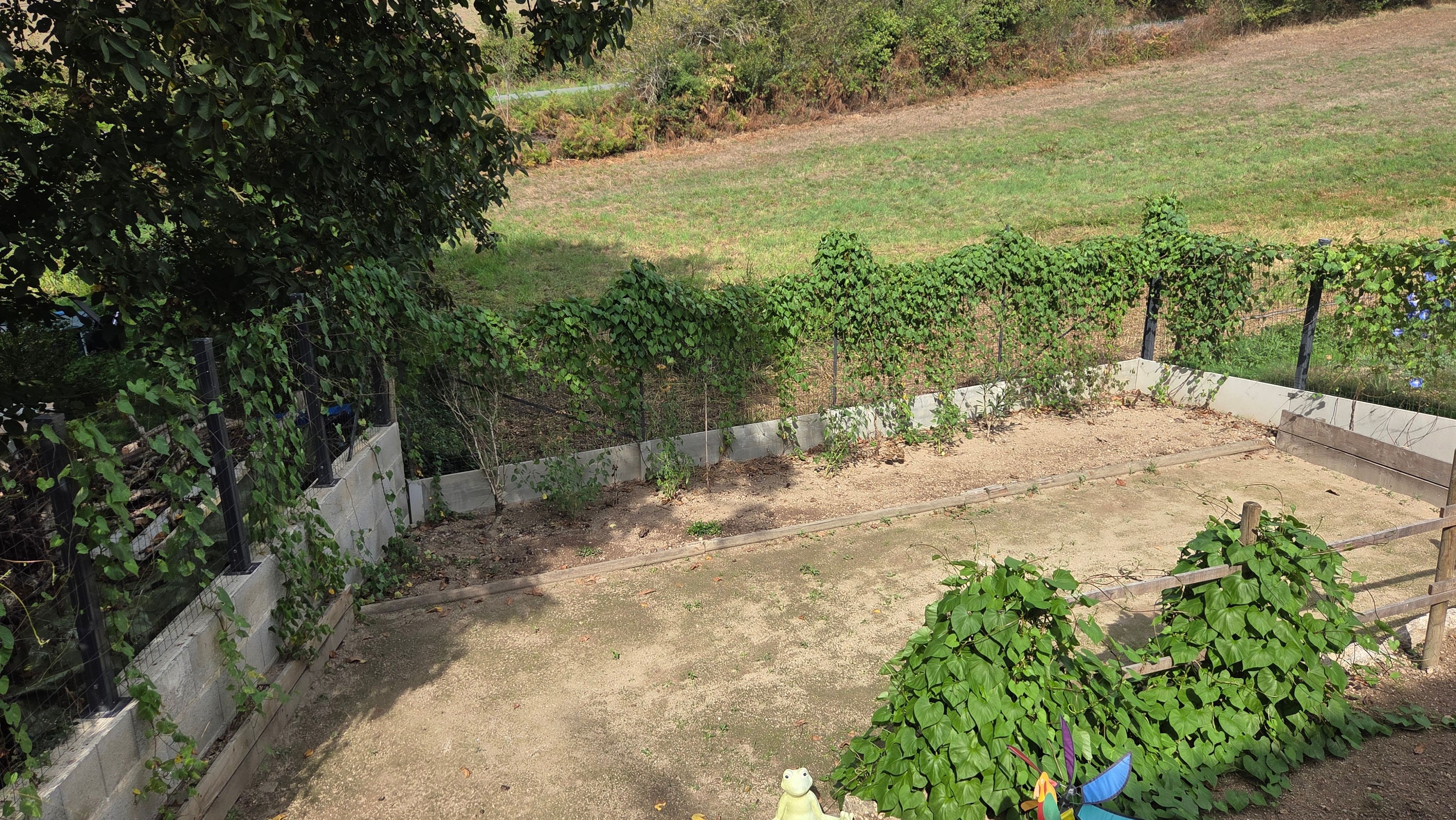 Un jardin clos, avec un sol en terre, entouré de verdure et d’un mur en béton.