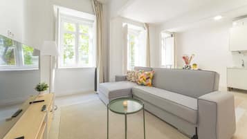 Fernseher, Arbeitsbereiche