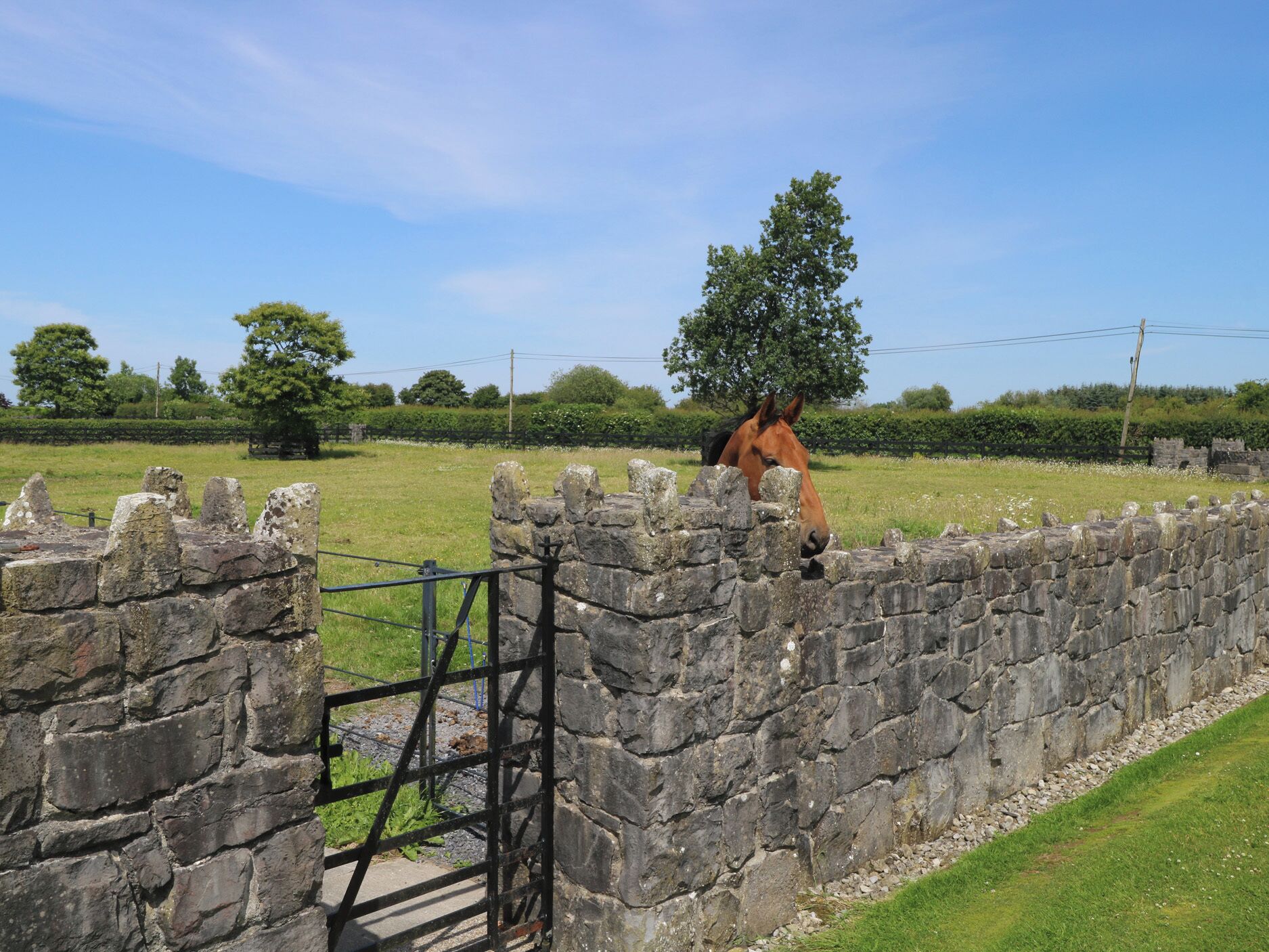 A stone wall with a metal gate, a grassy field, and a horse in the background.