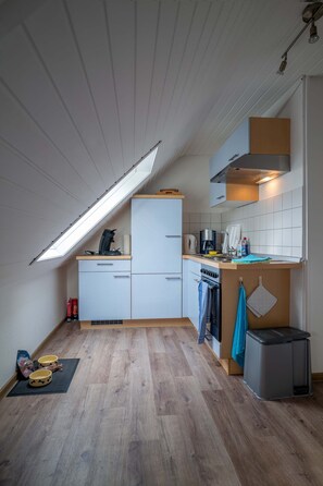 Fridge, oven, stovetop, dishwasher - Apartment 'Seenest' with Mountain View, Wi-Fi and Air Conditioning (Überlingen)