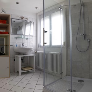 Shower, hair dryer, towels - Apartment 'Seenest' with Mountain View, Wi-Fi and Air Conditioning (Überlingen)