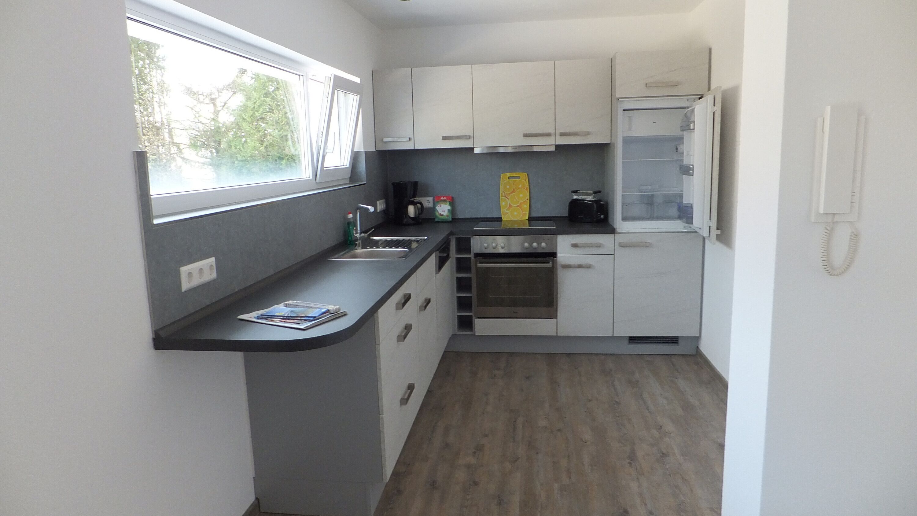 Kühlschrank, Mikrowelle, Ofen, Herdplatte