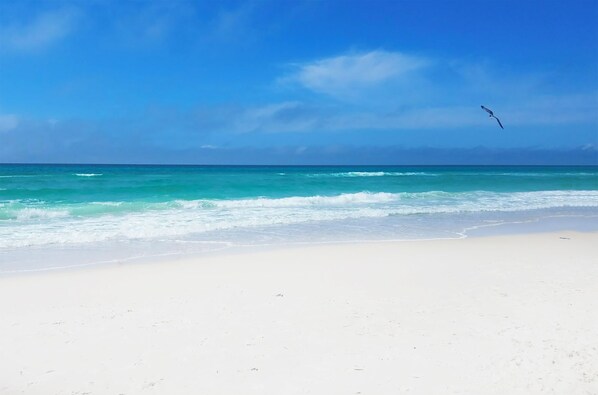 On the beach