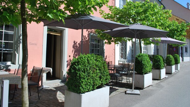 Outdoor seating with umbrellas, potted plants, and a building facade.