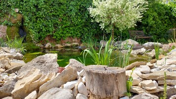 Un jardín con un estanque, rocas y vegetación.
