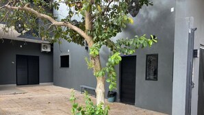 Un patio con un árbol en maceta, un banco y un edificio de fachada gris y contraventanas negras.