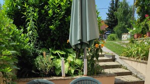 A table set outdoors with a newspaper tablecloth, surrounded by greenery and a pathway.
