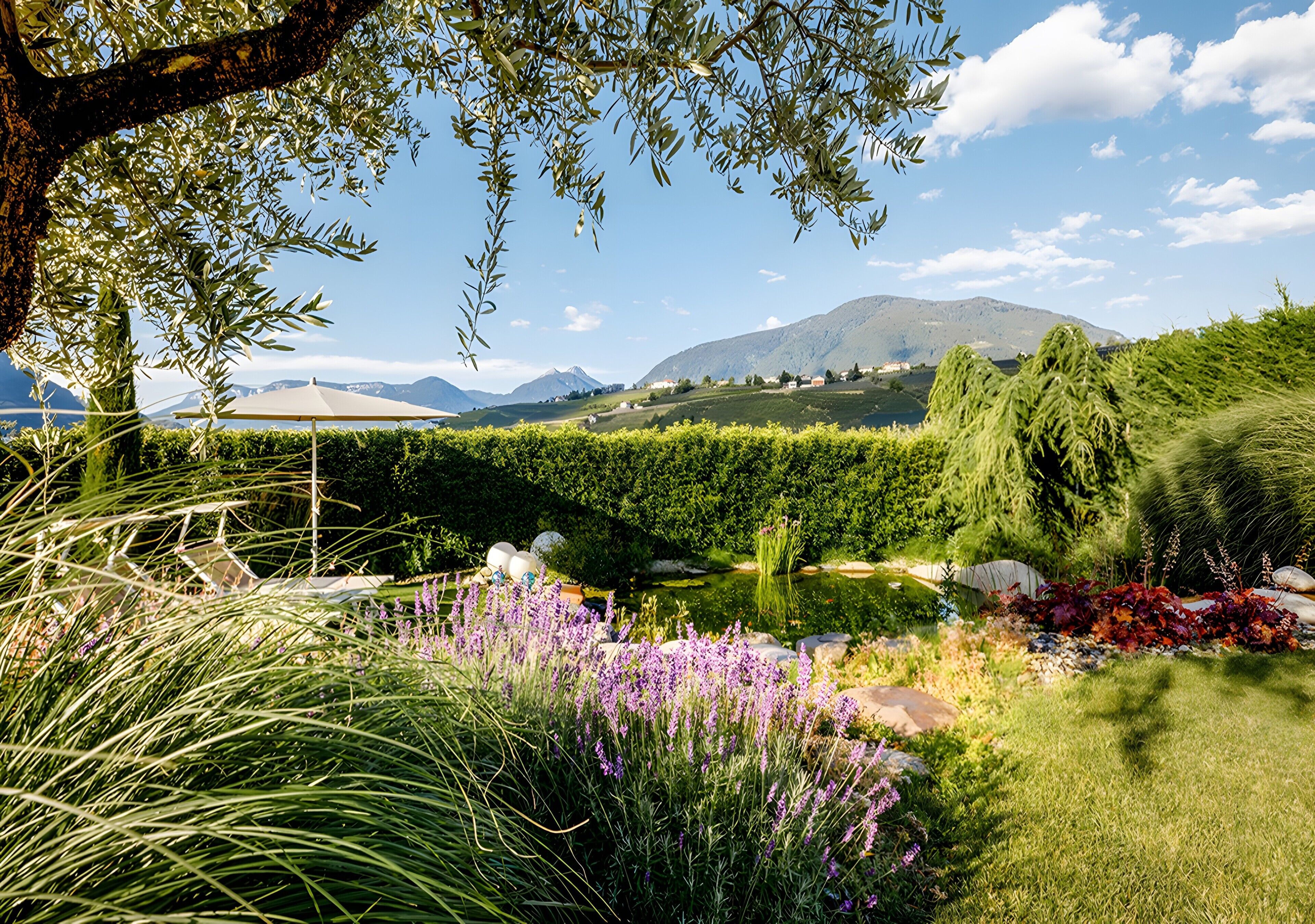 Parco della struttura