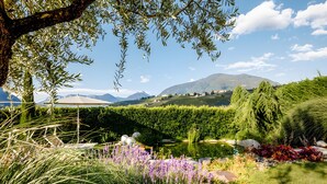 A garden with a pond, trees, and a mountain in the background. - Room 'Silber Zimmer 2' with Mountain View, Wi-Fi and Air Conditioning (Tirolo)