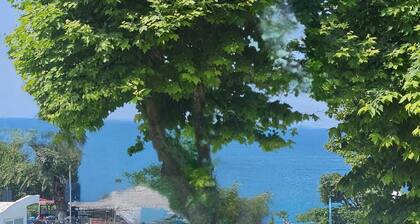 Levante Apartment - Playa degli Angeli 200 mt from the sea