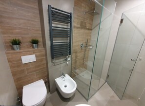 Shower, hair dryer, bidet, towels