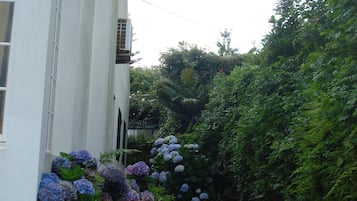 Biệt thự, 5 phòng ngủ, ban công, quang cảnh vườn | Vườn