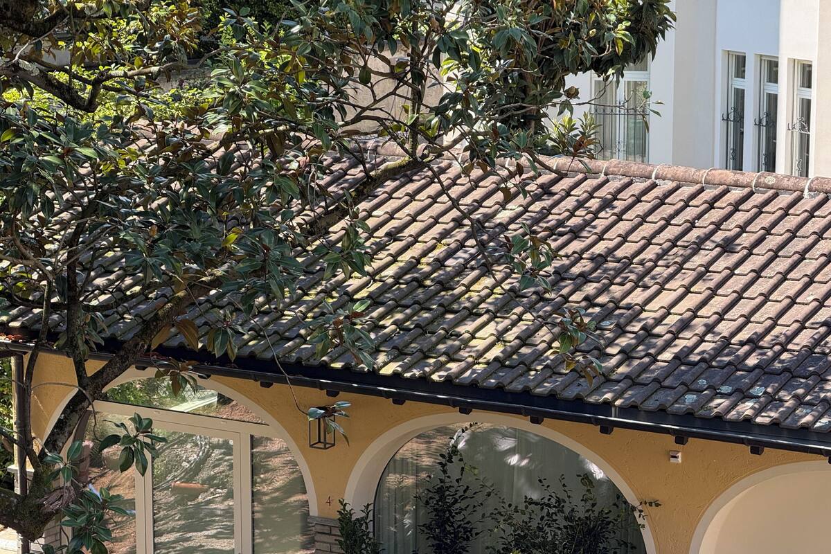 Luxury Studio Suite, Patio, Garden View