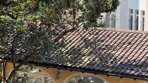 Luxury Στούντιο-Σουίτα, Αίθριο, Θέα στον Κήπο