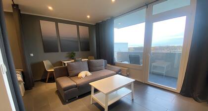 Cozy apartment 45 m", balcony up to 3 fitters or vacationers, fast WLAN