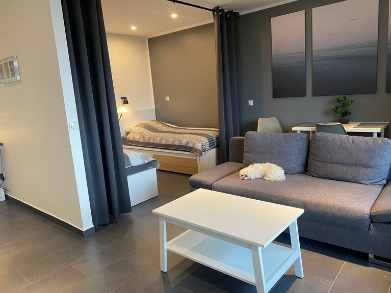 Gemütliche Apartment 45 M" , Balkon Bis 3 Monteure Oder Urlauber, Schnelles Wlan - Kamp-Lintfort