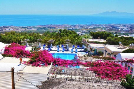 Lovely Hot-L - view 2