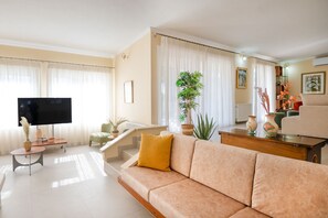 Télévision, cheminée, livres
