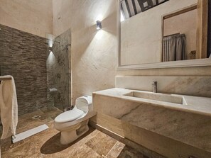 Shower, hair dryer