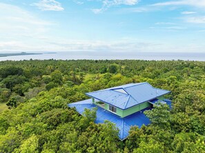 Una casa con techo azul rodeada de un bosque verde frondoso y vista al océano.
