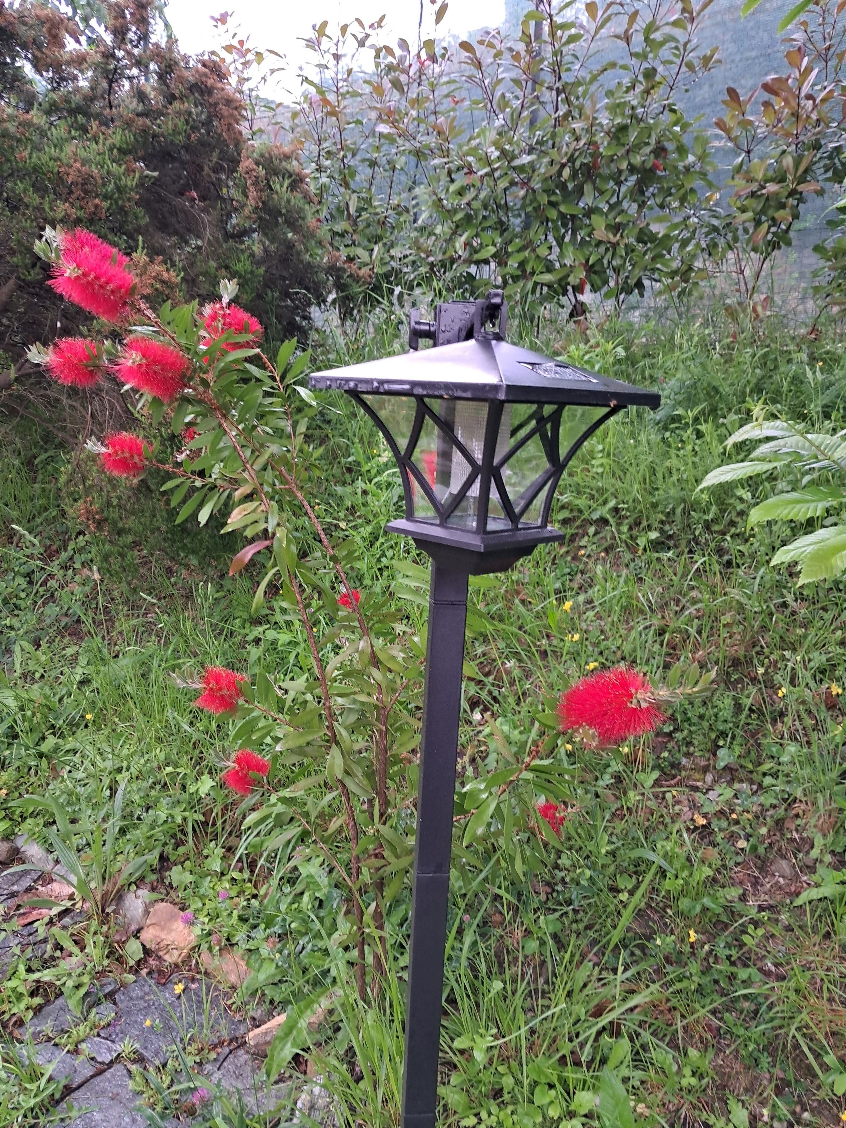 A black outdoor lamp post with a hexagonal top, surrounded by greenery and red flowers.