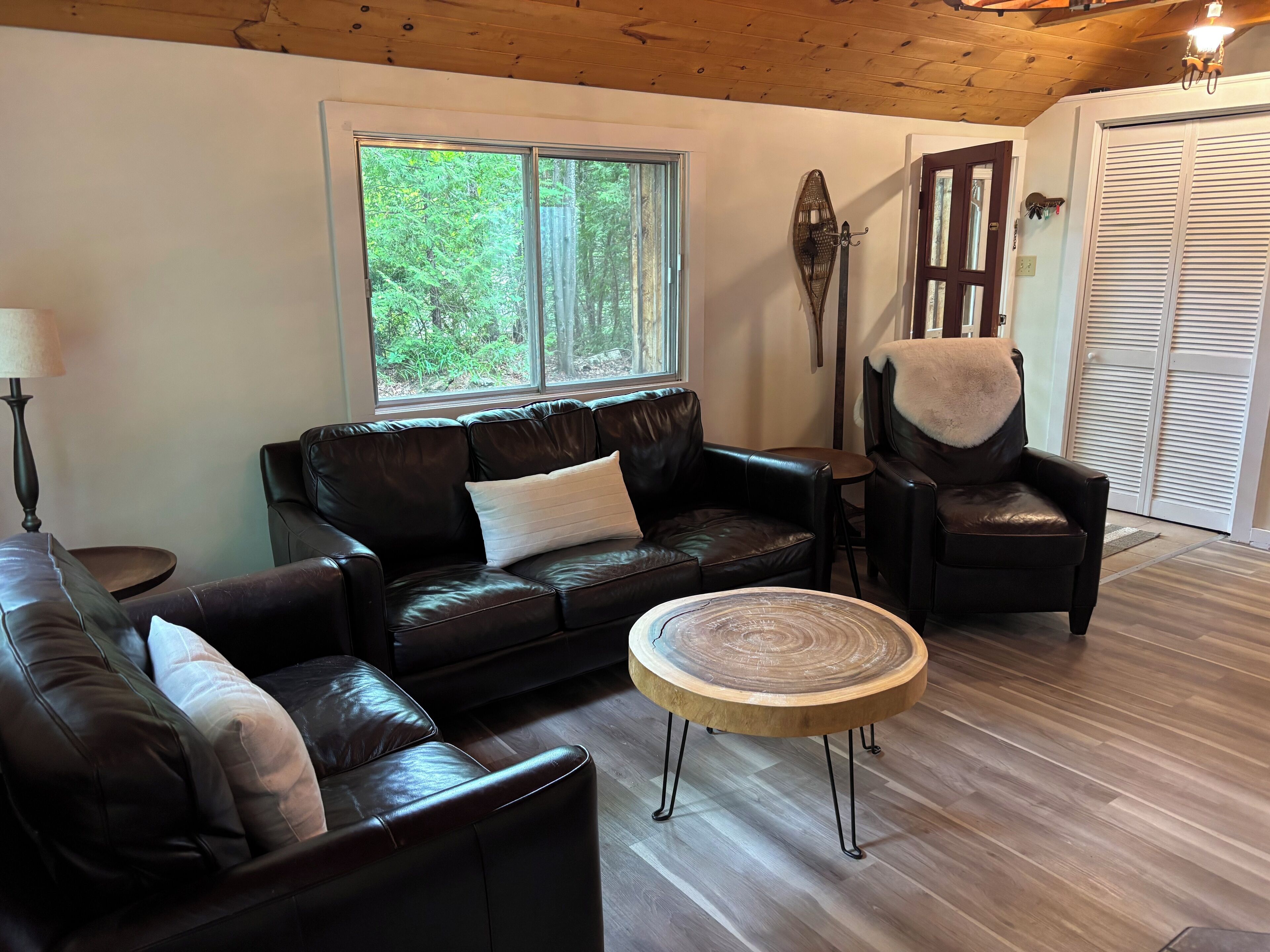 Televisión, reproductor de DVD, videoteca