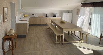 Grande maison de village pour 12 voyageurs Ă Marsillargues en petite Camargue.