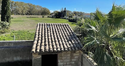 Large village house for 12 travelers in Marsillargues in the Petite Camargue.