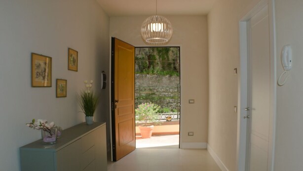 A hallway with a wooden door leading to a balcony, a potted plant, and framed pictures on the wall.