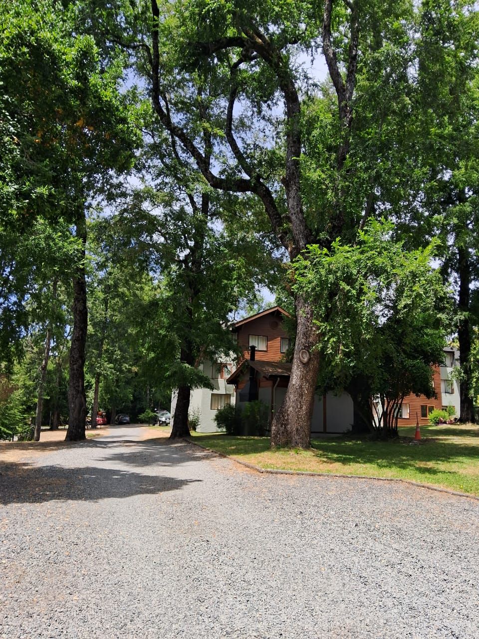 A gravel driveway leading to a building surrounded by trees.