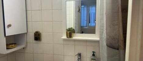 Kylpyhuoneessa on valkoinen pesuallas, peili, pieni hylly, jossa on kasvi, ja wc.