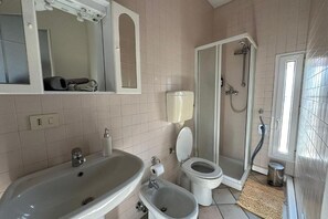 Shower, hair dryer, bidet, towels
