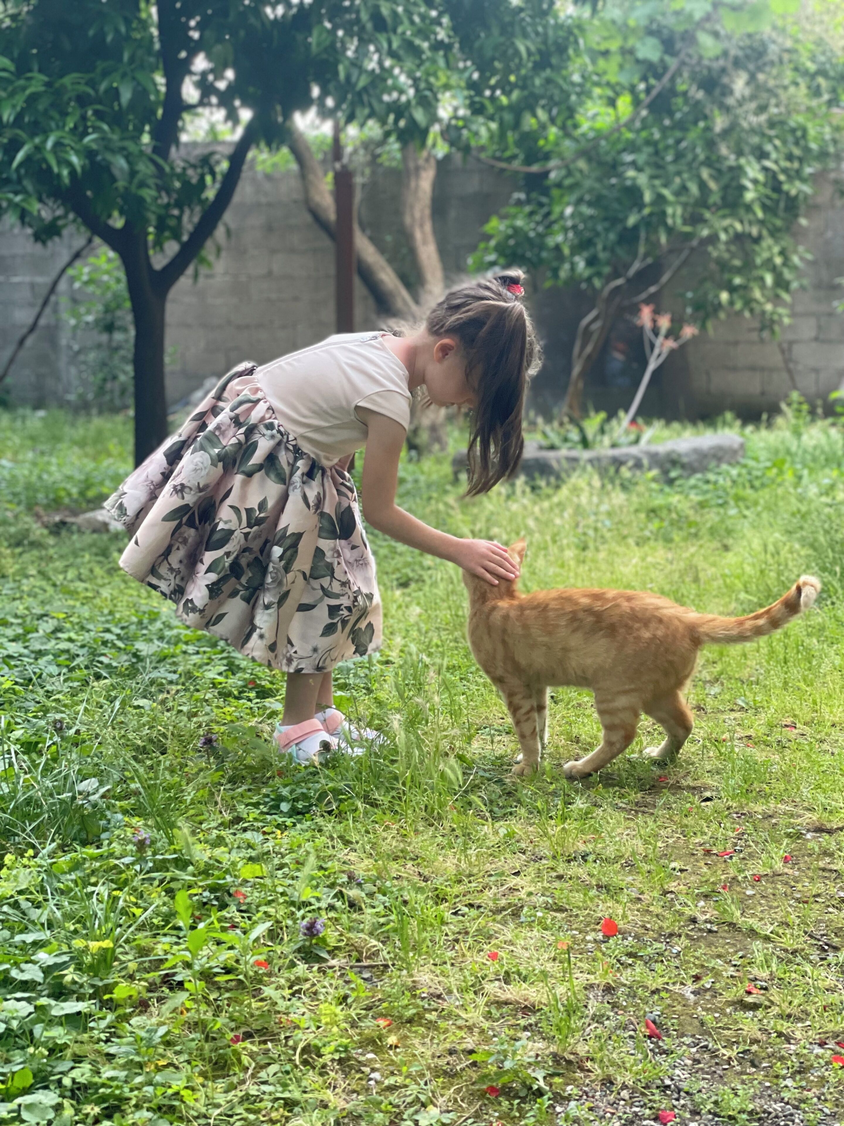 Une personne vêtue d’une robe à motifs floraux caresse un chat dans un espace extérieur verdoyant.