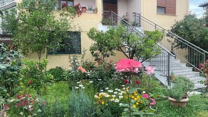 A house with a garden, a cat, and a staircase. - Hysa guest house (Shkodër)
