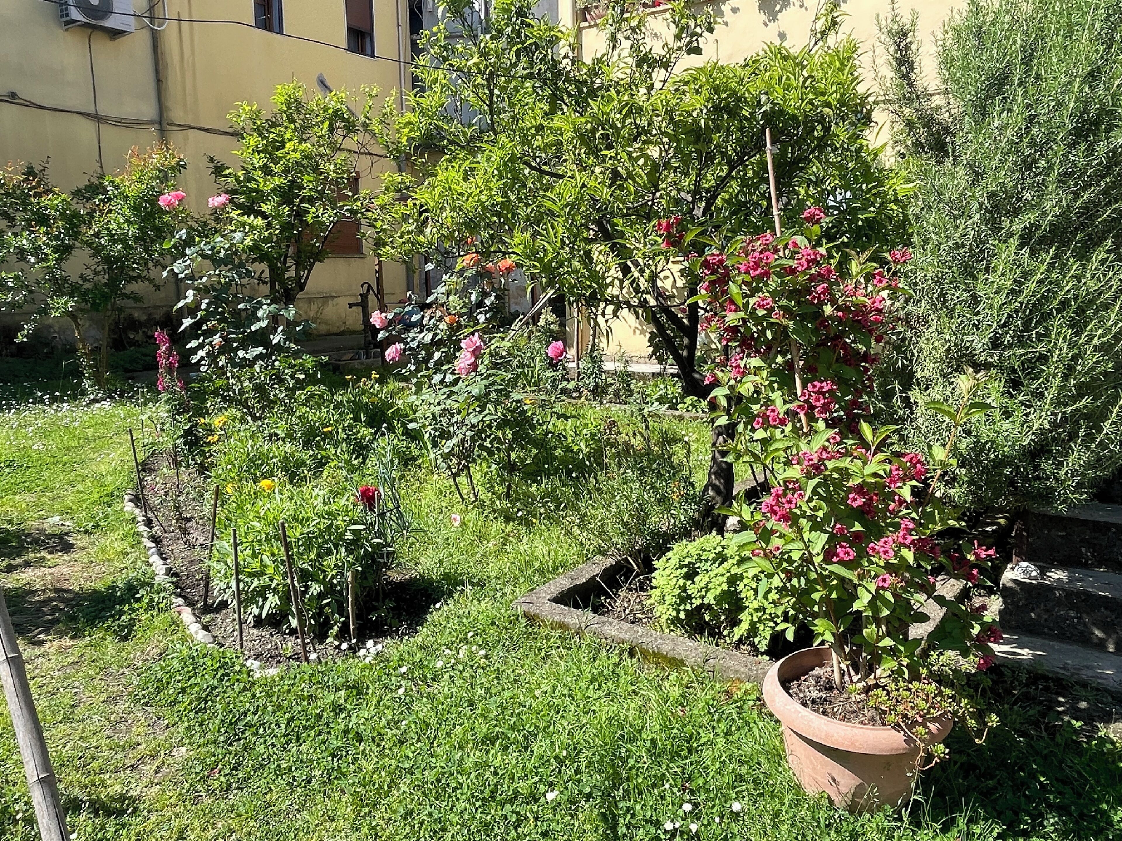 Enceinte de l’hébergement