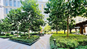 A spacious courtyard with neatly arranged trees and a tiled walkway.