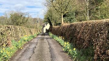 Cottage | Property grounds