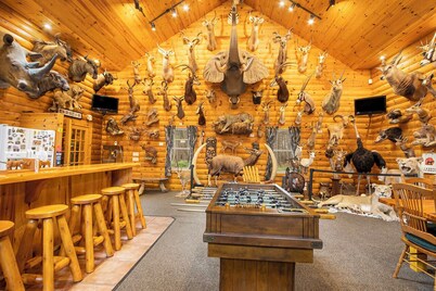 90 Acre Lodge w/ Pond | Foosball | Pool Table
