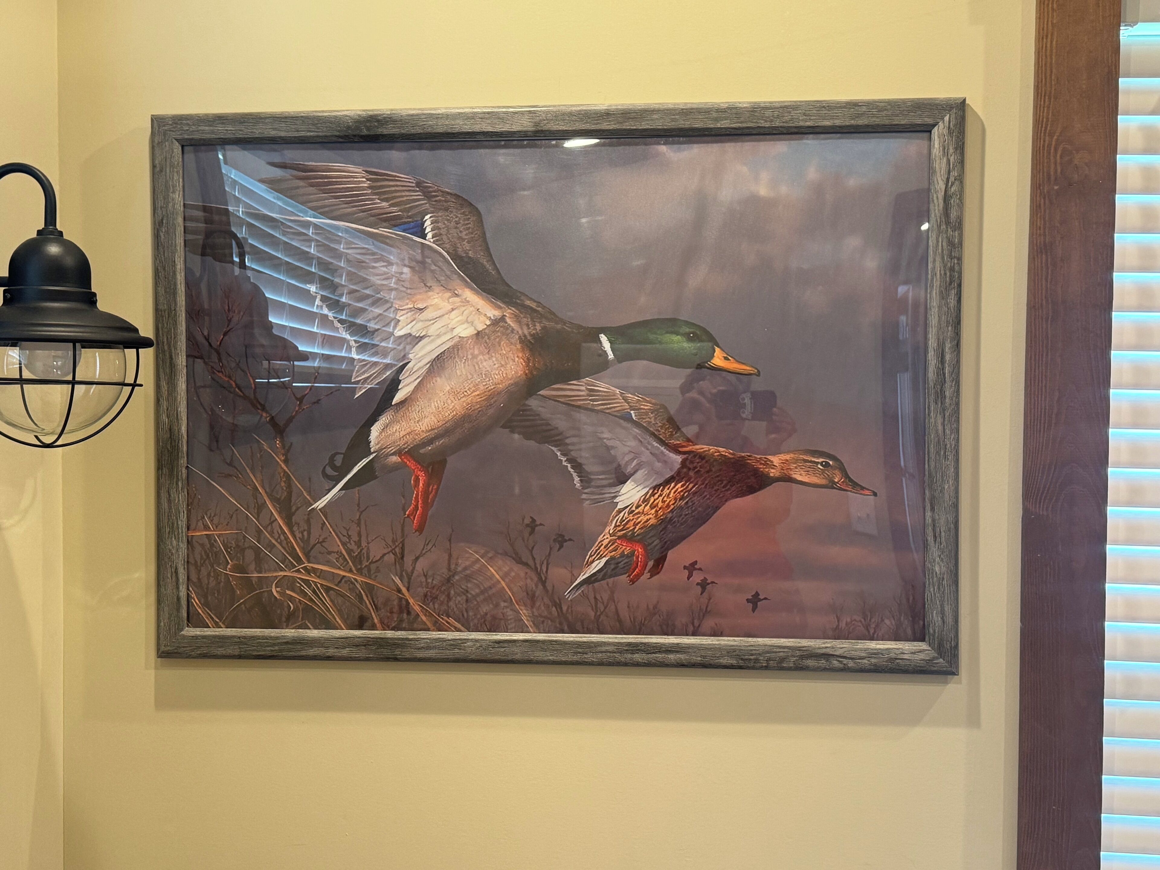 A framed wildlife painting of ducks in flight on a wall.